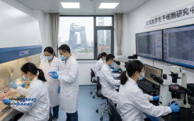 Çin'den Kök Hücre Devrimi Tıp Dünyasında Yeni Bir Çağ Başlıyor