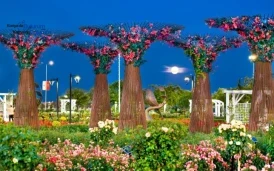 Konya Karatay Gül Parkı Nerede? Ulaşım, Otobüs Hatları ve Yol Tarifi (2026)