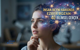 İnsan Beyni Hakkında Ezber Bozan 40 Bilimsel Gerçek