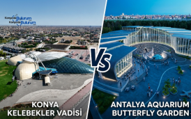 konya Kelebekler Vadisi ile Antalya Aquarium Butterfly Garden Arasındaki Farklar Nelerdir?