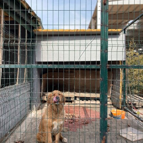 KYS KESİCİ TAKIMLAR